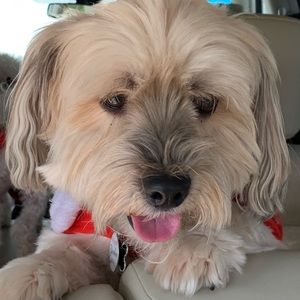 Meet your Posher, Edward